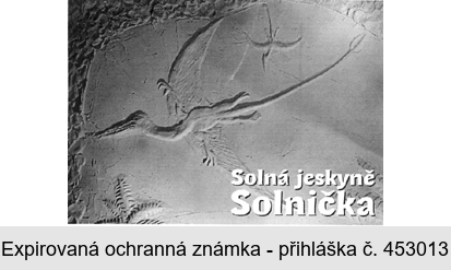 Solná jeskyně Solnička