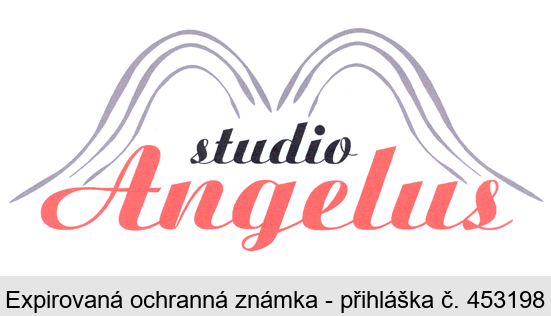 studio Angelus