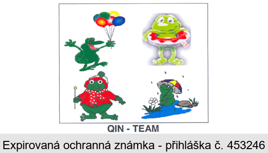 QIN - TEAM