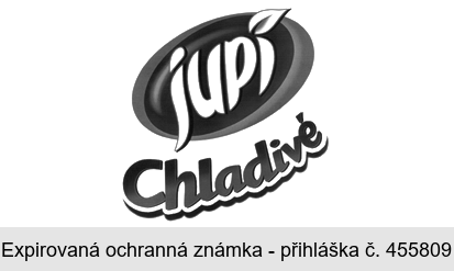 jupí Chladivé