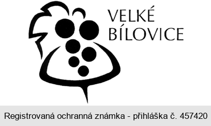 VELKÉ BÍLOVICE