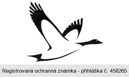 Ochranná známka