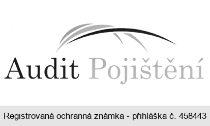 Audit Pojištění