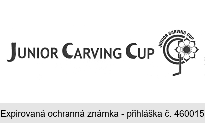 JUNIOR CARVING CUP