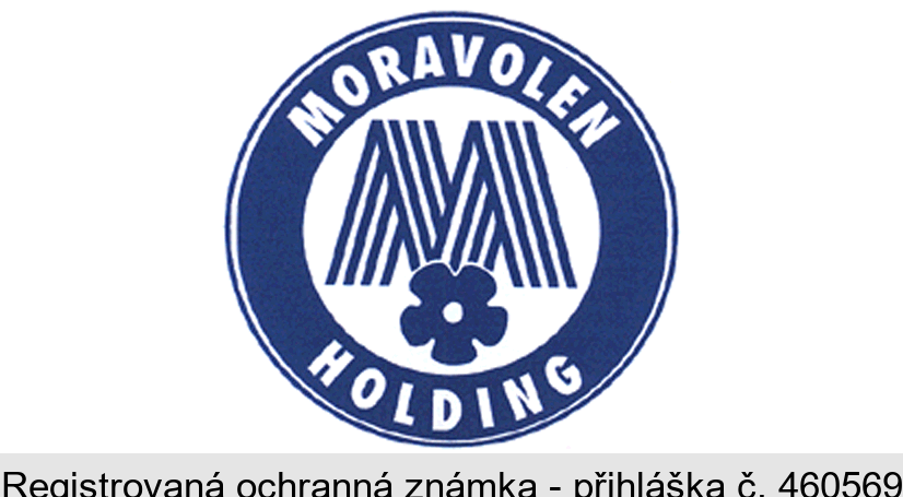 MORAVOLEN HOLDING