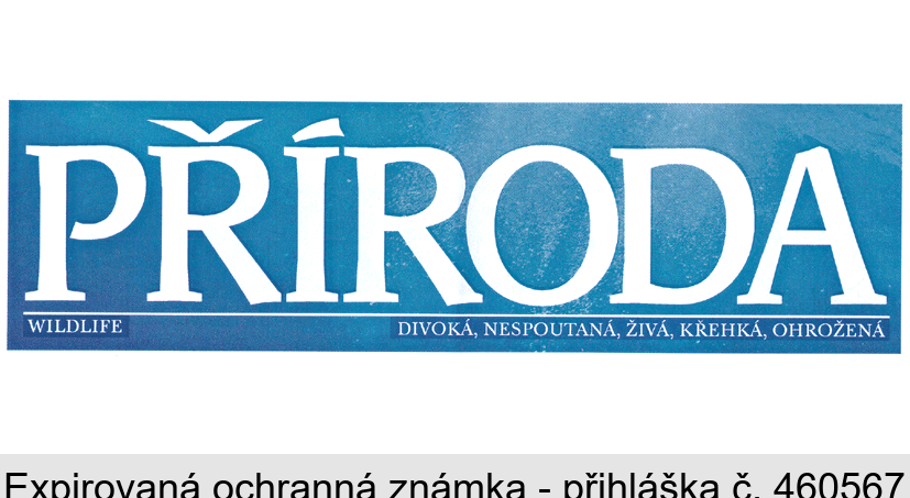 PŘÍRODA - WILDLIFE - DIVOKÁ, NESPOUTANÁ, ŽIVÁ, KŘEHKÁ, OHROŽENÁ