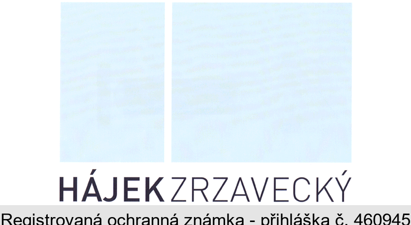 HÁJEK ZRZAVECKÝ