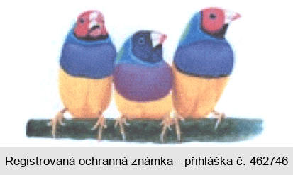 Ochranná známka