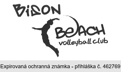 BiSON BEACH volleyball club