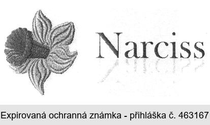 Narciss