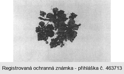 Ochranná známka