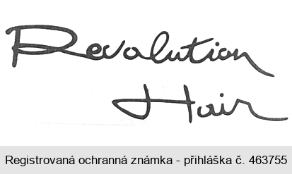 Revolution Hair