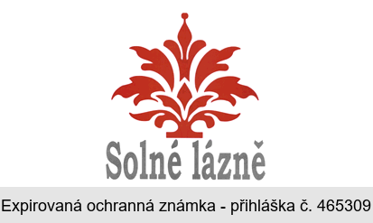 Solné lázně