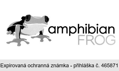 amphibian FROG