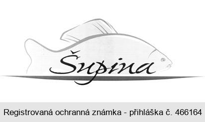 Šupina