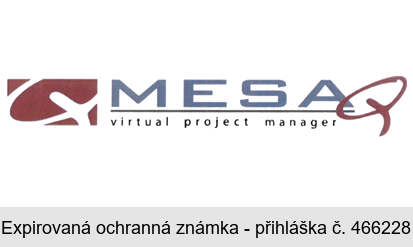 MESAQ virtual project manager