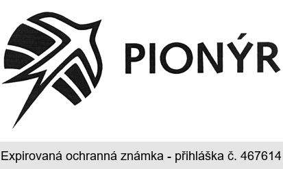 PIONÝR