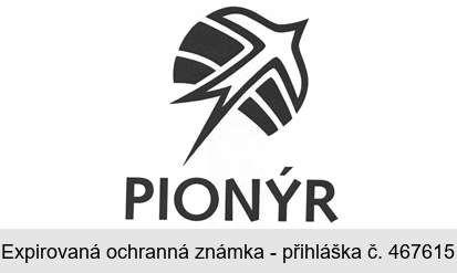 PIONÝR