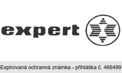 expert