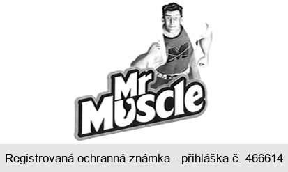 Mr Muscle