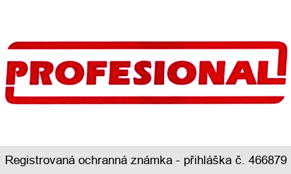 PROFESIONAL