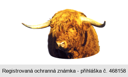 Ochranná známka