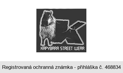 K KAPYBARA STREET WEAR