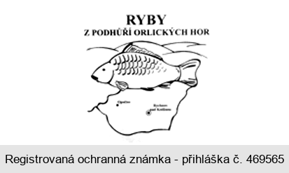RYBY Z PODHŮŘÍ ORLICKÝCH HOR Opočno Rychnov nad Kněžnou