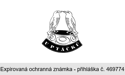 U PTÁČKŮ