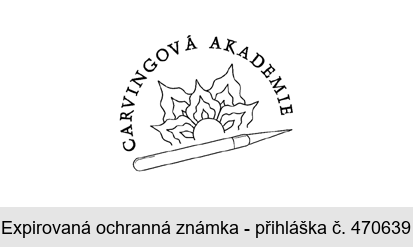 CARVINGOVÁ AKADEMIE