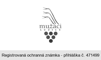 mužáci LUŽICE