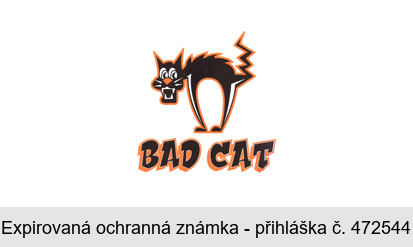 BAD CAT