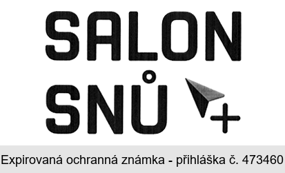 SALON SNŮ