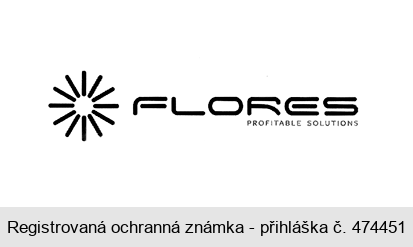 FLORES PROFITABLE SOLUTIONS