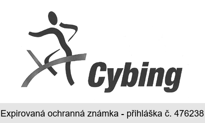 Cybing