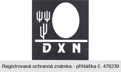 DXN