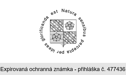 Natura sensibus percepta per ideas glorificanda est