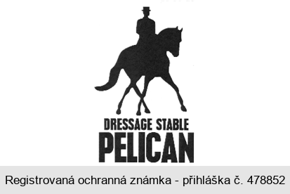 DRESSAGE STABLE PELICAN