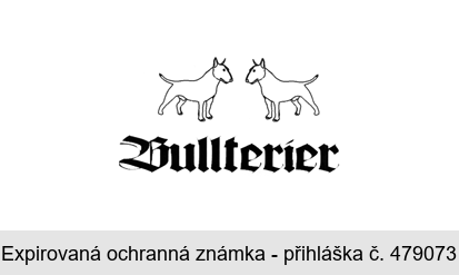 Bullterier