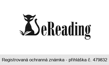 eReading