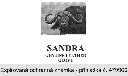 SANDRA GENUINE LEATHER GLOVE