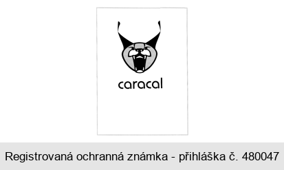 caracal