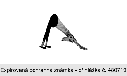 Ochranná známka