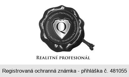 Q REALITNÍ PROFESIONÁL