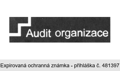 Audit organizace