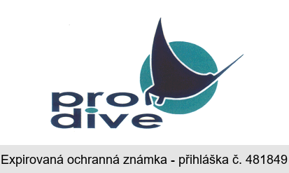 pro dive