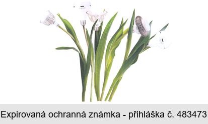 Ochranná známka