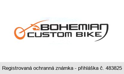 BOHEMIAN CUSTOM BIKE