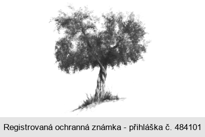 Ochranná známka