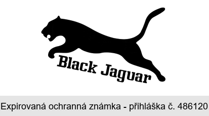 Black Jaguar